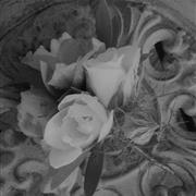 Buttonhole