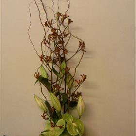 fwthumbSP_A0808.jpg